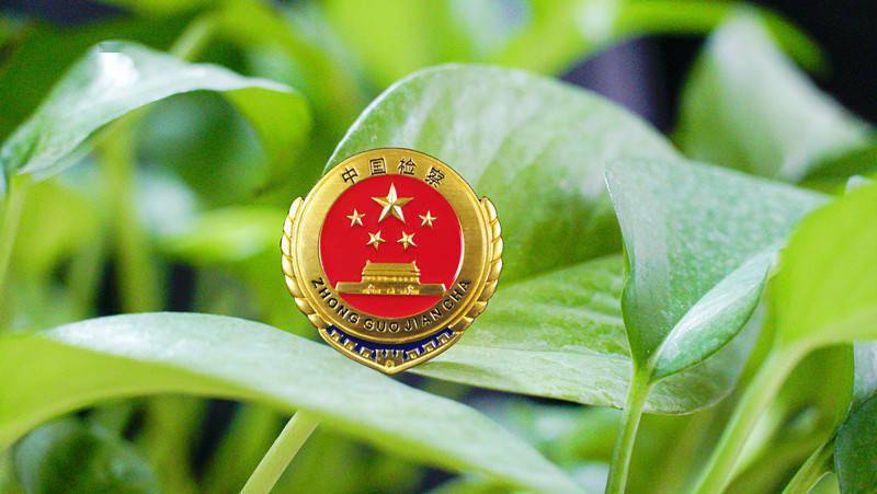 揭秘隐藏的步骤2024枪版种子，非法传播的灰色地带与法律风险