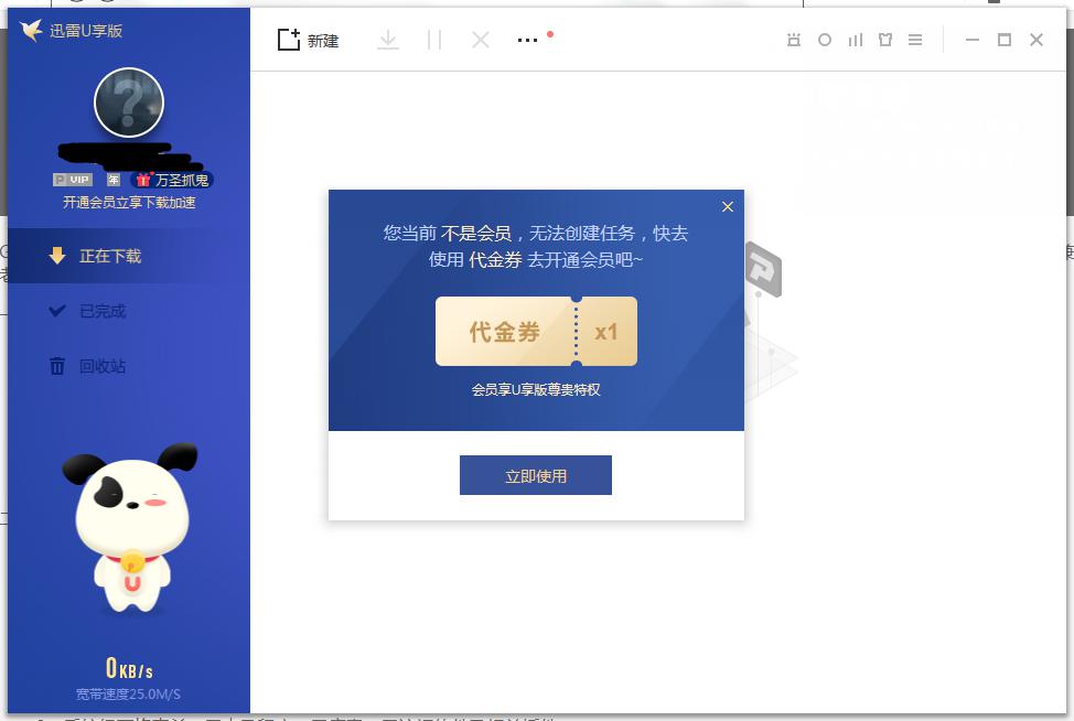 隐藏的步骤，解锁韩国迅雷下载的秘密