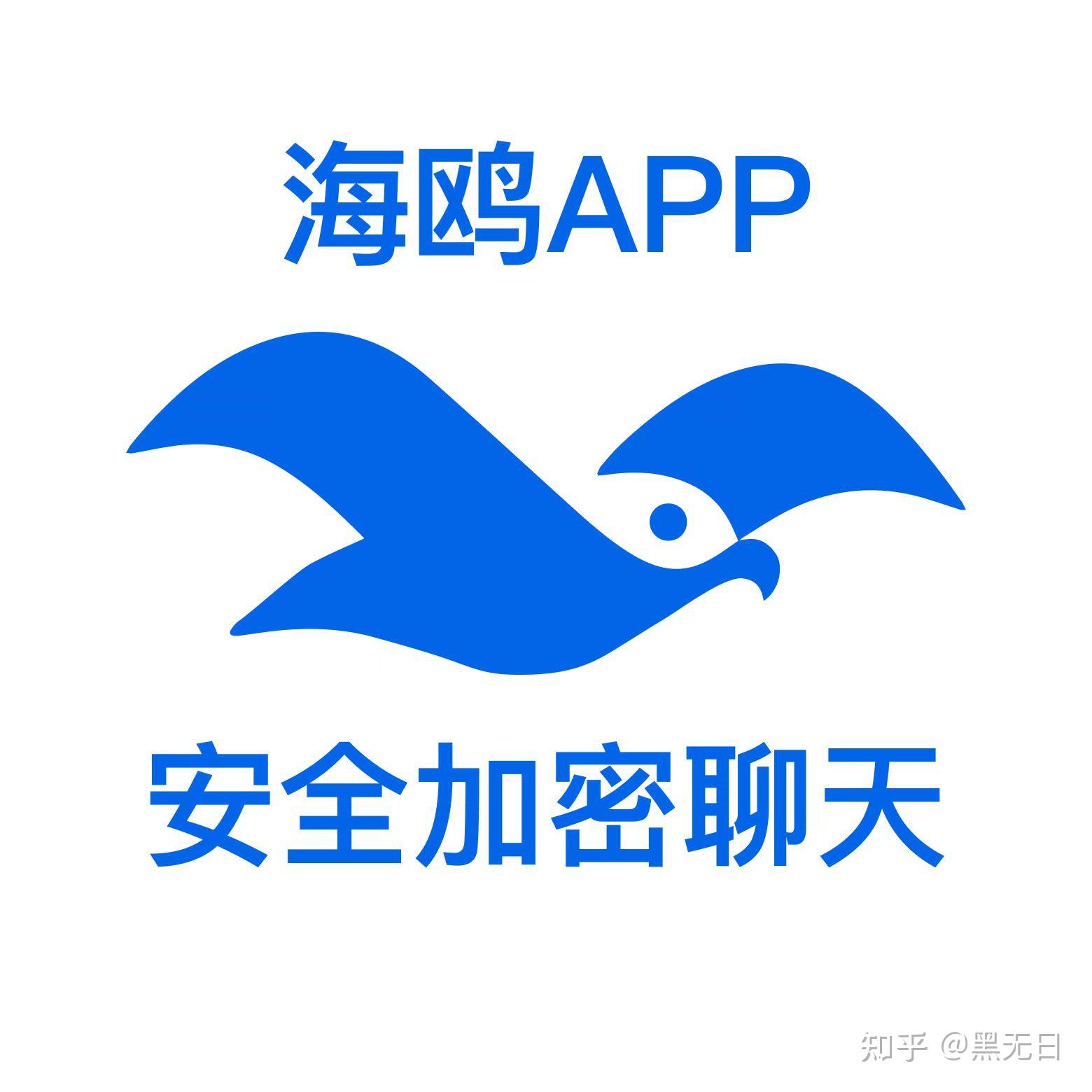海鸥安全加密聊天软件，下载安全与使用指南