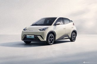 2024款海鸥比亚迪，电动出行新选择，续航与便捷充电的完美结合
