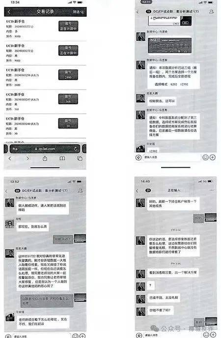 揭秘海鸥聊天诈骗，真相与警示