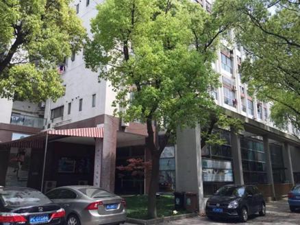 畅游全球，海鸥伴您遨游网络世界