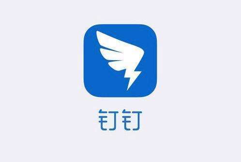 探索海鸥聊天电脑版，高效沟通的数字新选择
