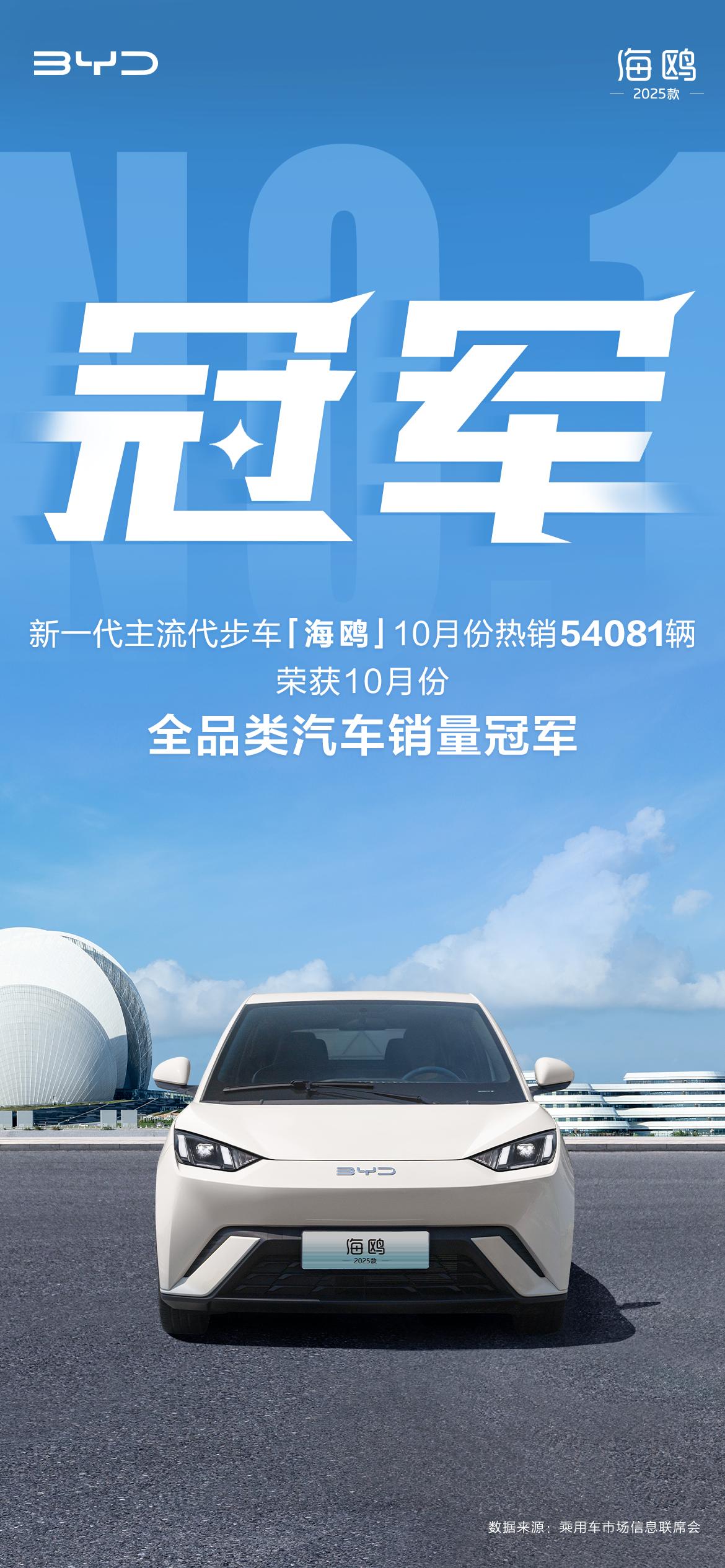 海鸥聊天软件网页版，重塑在线交流的未来