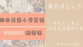 探索自然之声，揭秘海鸥拼音声调的奥秘