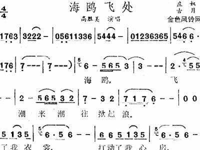 童声悠扬，海鸥儿歌谱的温馨旋律