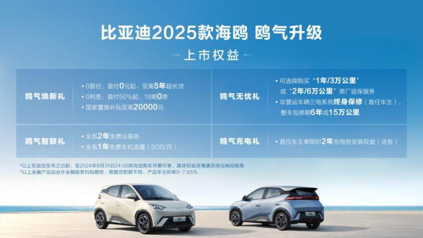 海鸥翱翔，比亚迪领航——探索自然与科技的和谐共融