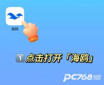 海鸥安卓版下载难题解析，为何无法下载及解决方案