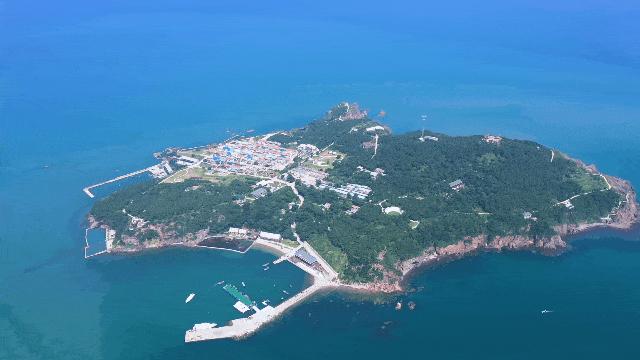 歌曲海鸥原唱，自由与孤独的诗意诠释