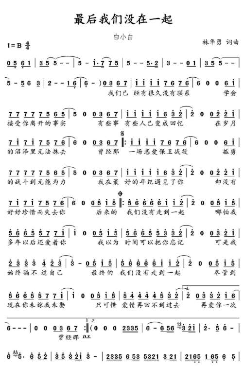 歌曲海鸥歌词，自由与孤独的交响曲
