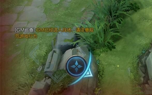 王者荣耀GM巡查，游戏环境的守护者与图片的背后故事