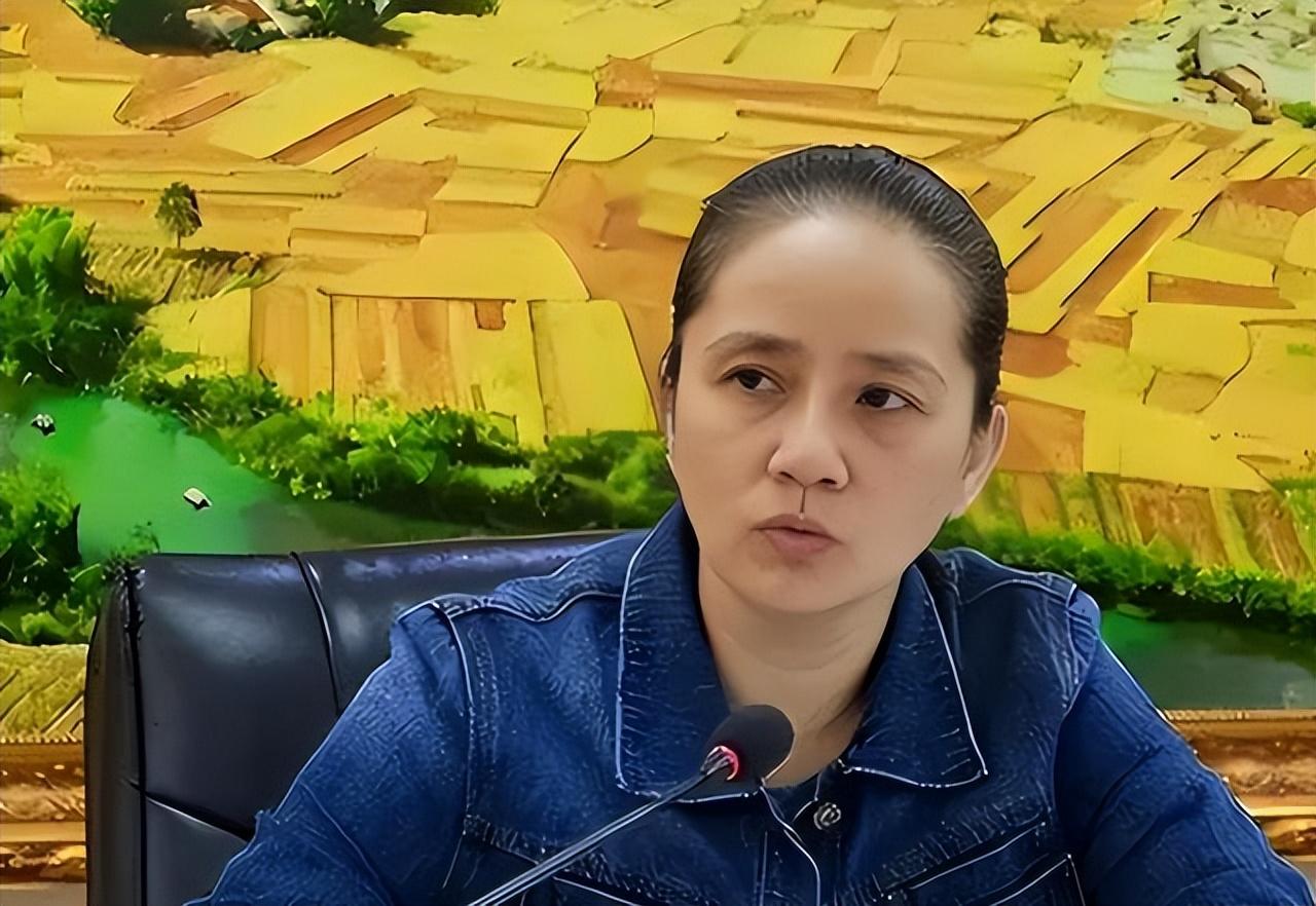 探索与警示，和平精英画质修改器的双刃剑效应
