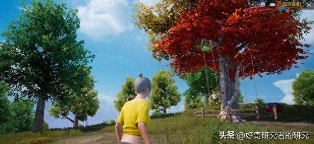 探索吃鸡与和平精英，游戏中的策略与现实生活的智慧