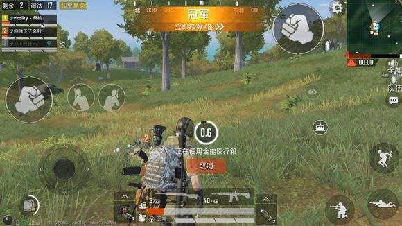 隐身登录和平精英，探索游戏中的隐私保护