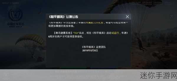 和平精英实名认证修改次数突然消失，用户权益与游戏安全的平衡探讨