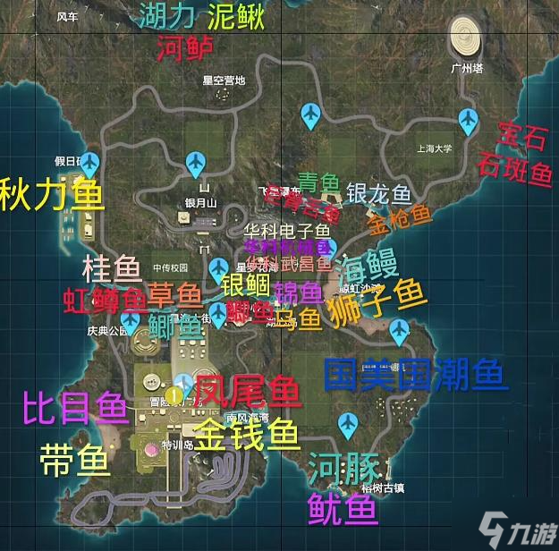 探索新境，和平精英褐湾地图深度解析