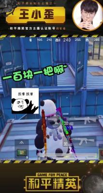 探索和平精英，海岛地图信号枪的神秘位置