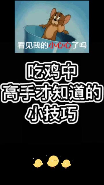 小老虎的和平精英直播之旅，从游戏高手到直播新星的蜕变