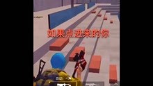 探索和平精英，正版下载的乐趣与意义