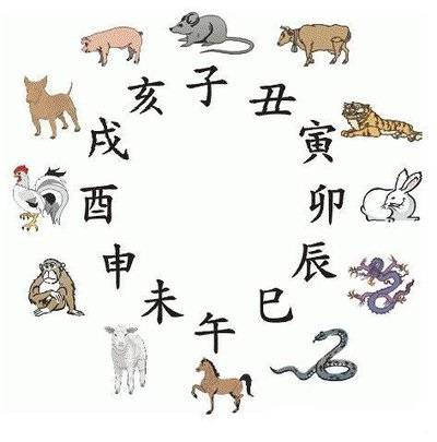 篮球 第113页