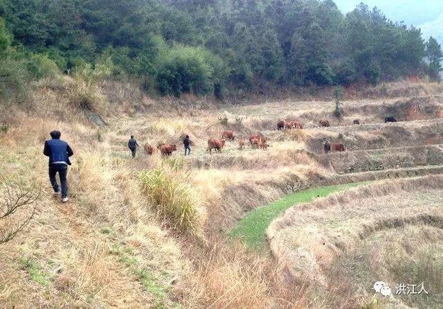 一码不误，肖像精准—揭秘108期彩票预测的奥秘