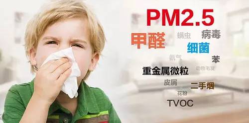 空气污染的严峻现状与应对策略，一份不容忽视的社会报告