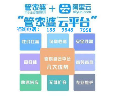 武汉管家婆，城市生活的温馨守护者