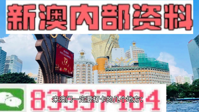 2035年澳门，全年免费大全的未来展望