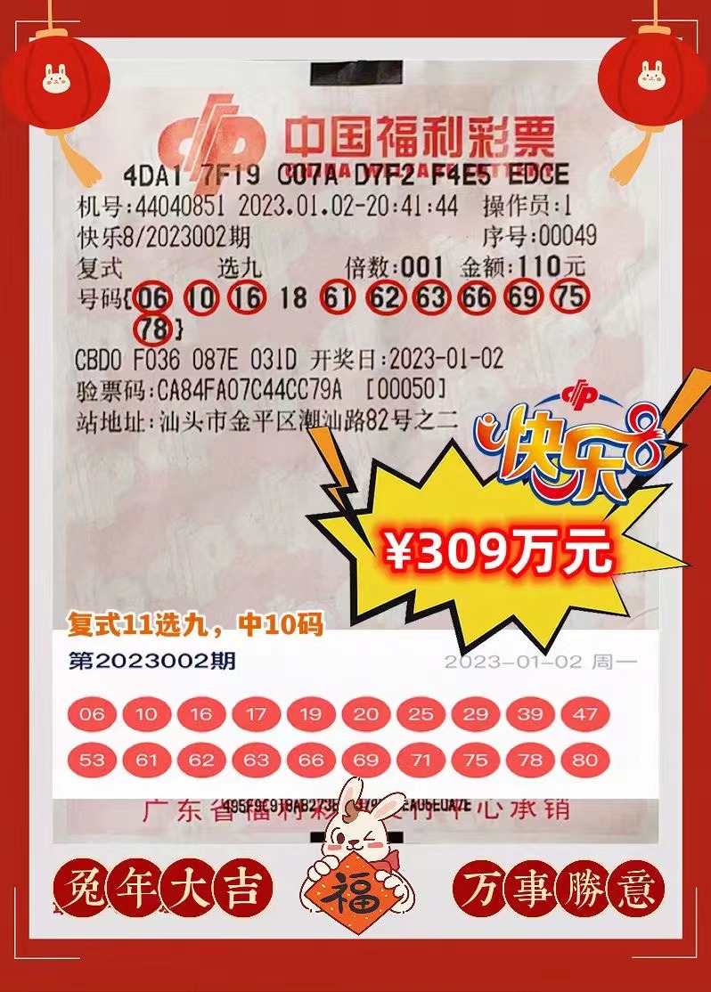 揭秘香港493217王中王的神秘面纱，理性看待彩票与娱乐