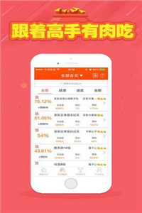 246天天好釆彩，免费平台上的创意与色彩盛宴