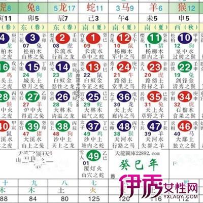 2046六会彩生肖卡对照表，揭秘与解析