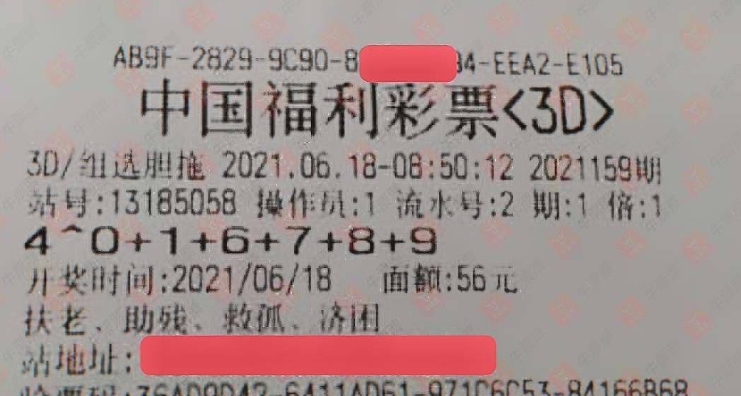 3D天天彩报，数字与梦想的交织