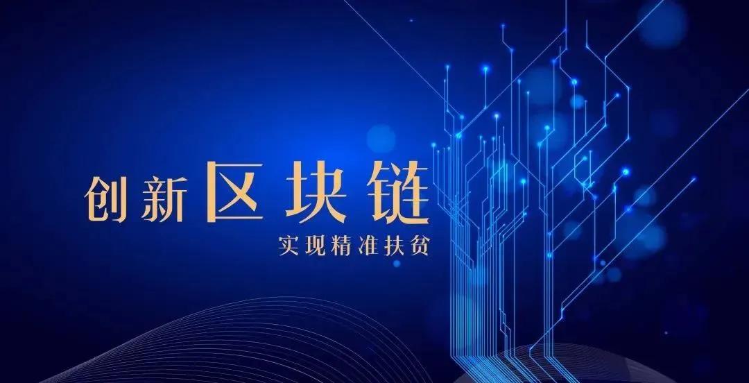 信彩网，数字时代的信任与机遇