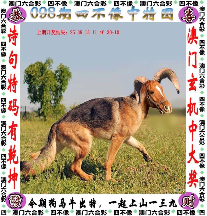 神秘莫测，四不像中的王中王者，必出一肖的奥秘