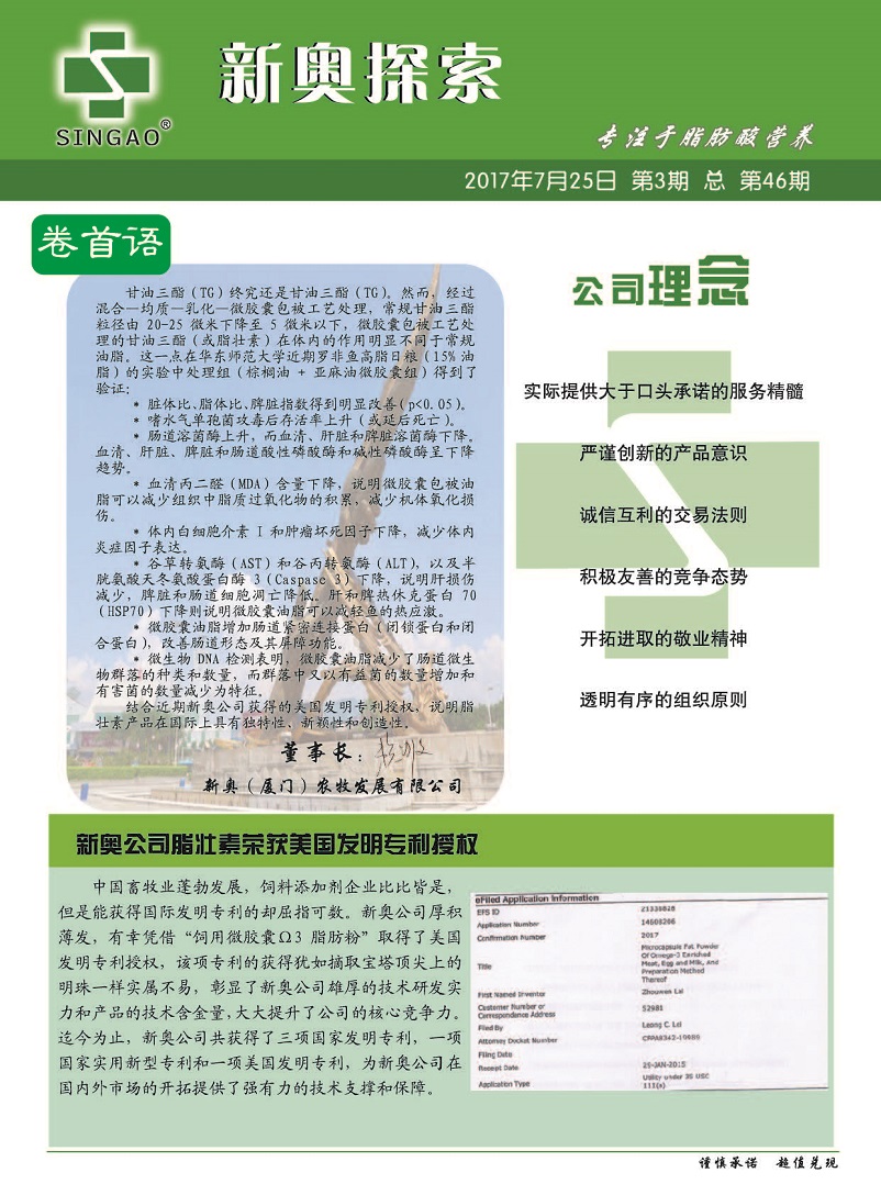 探索知识的无界，新奥正版全年免费资料带来的学习革命