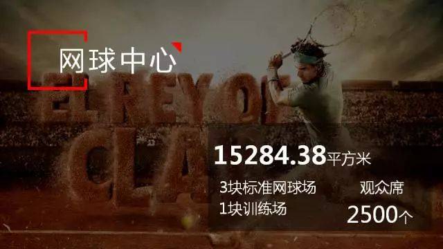 2036年，澳门未来之谜—揭秘今晚一肖的神秘面纱