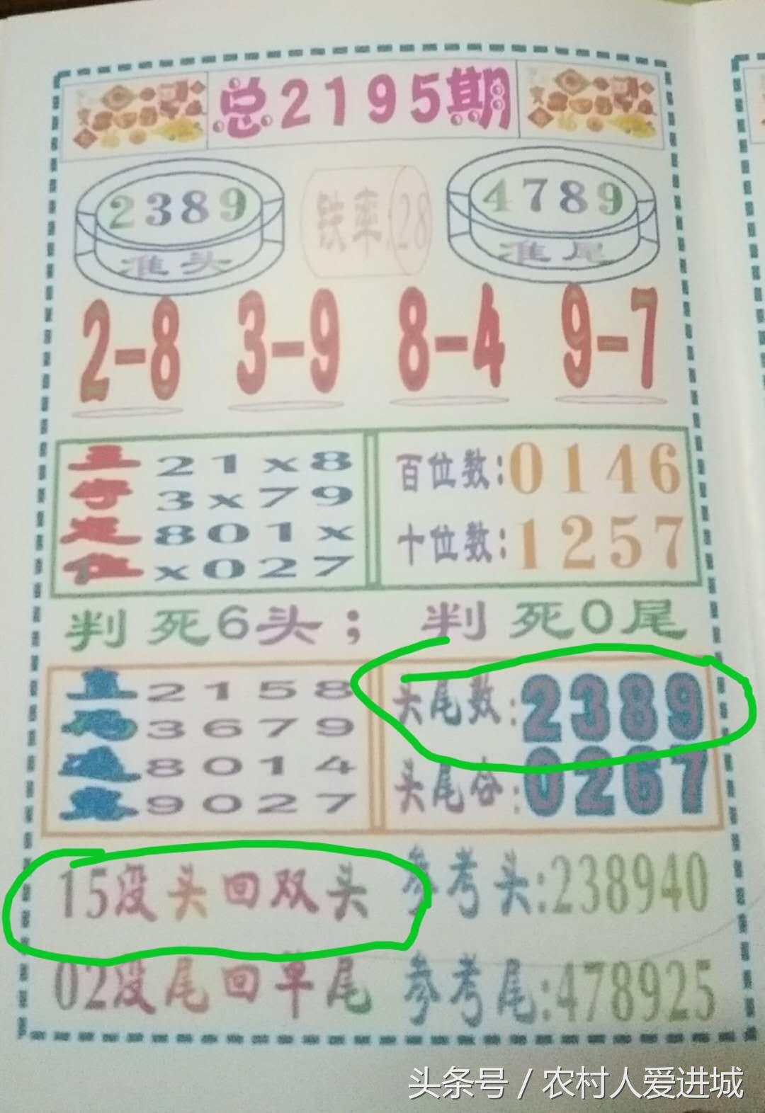 波肖图库，探索数字艺术与创意的无限可能