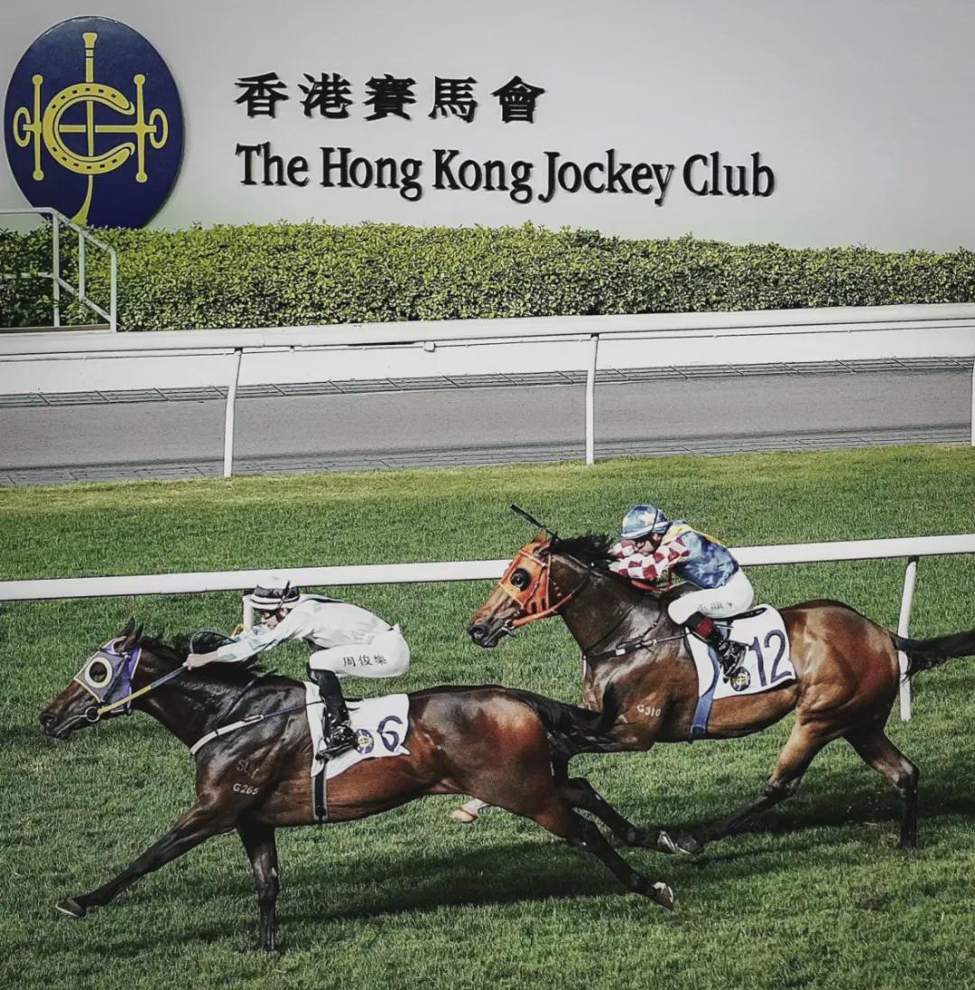 揭秘马会传真1326-CC，香港赛马的独特魅力与投注技巧