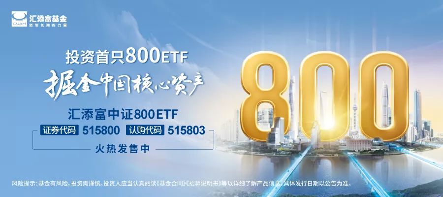 2036最全香港资料指南，精准信息助您一臂之力