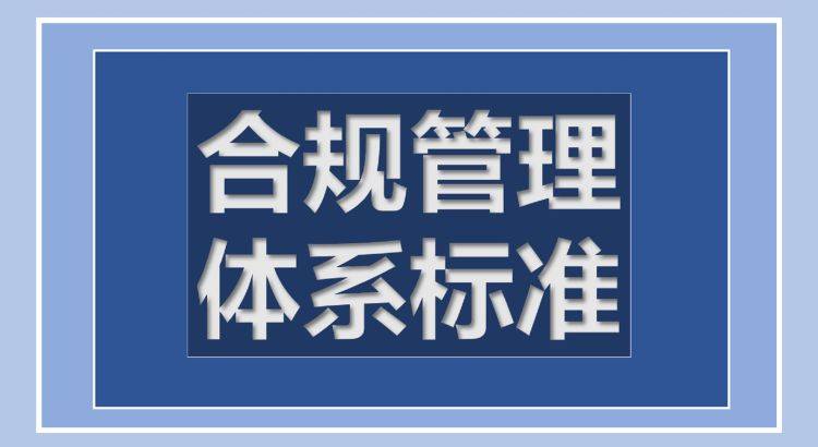 管家婆20-4新澳正版资料，重塑企业管理的未来