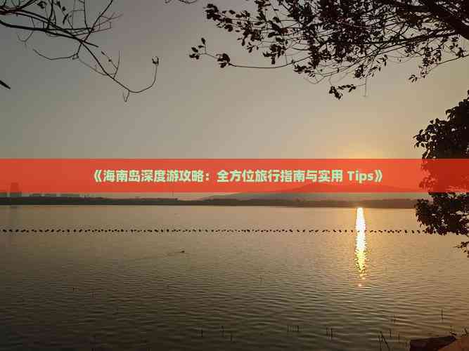 澳门2045免费资料大全，深度解析与实用指南