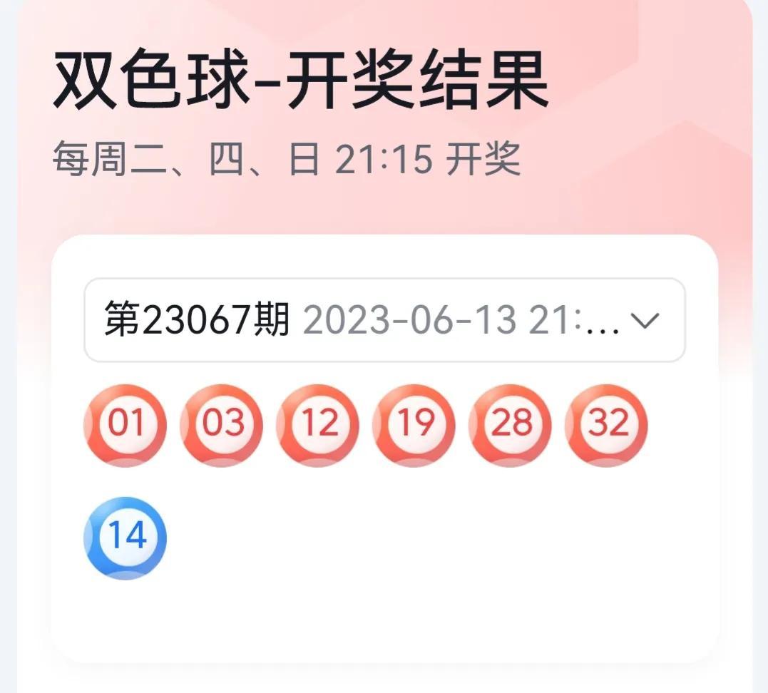 2019年香港开奖记录，透视年度彩票市场与公众参与
