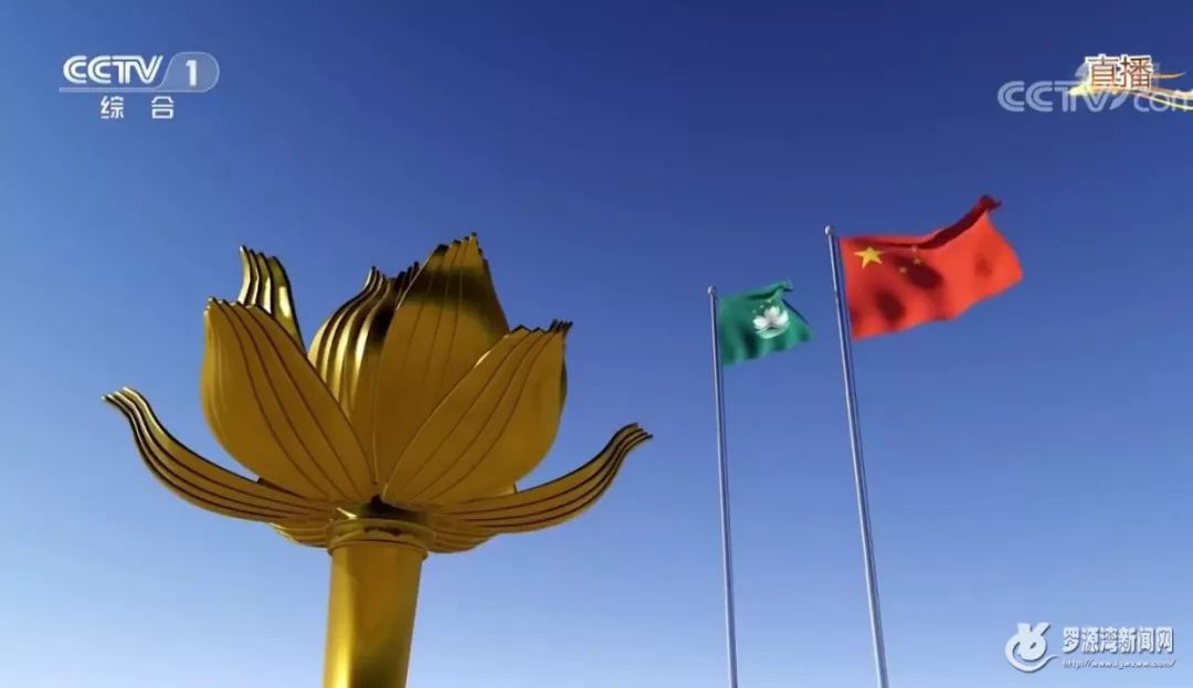 澳门2019-至暗时刻的坚守与重生，正版资料之光的闪耀