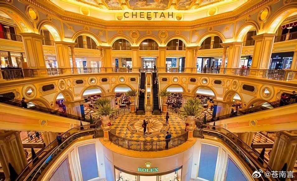 澳门王中王的神秘面纱,204年18%的资料揭秘