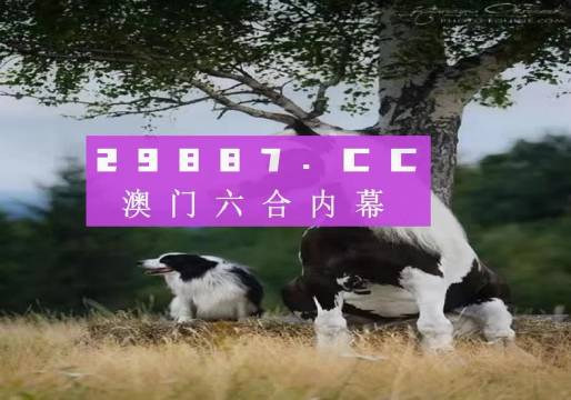 澳门今期特马四不像,探索多元文化与现代科技的融合