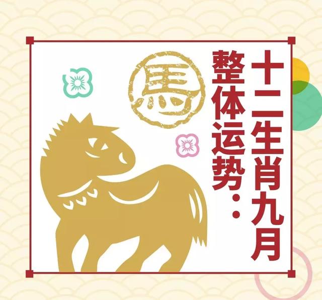今晚9点30，揭秘生肖之谜