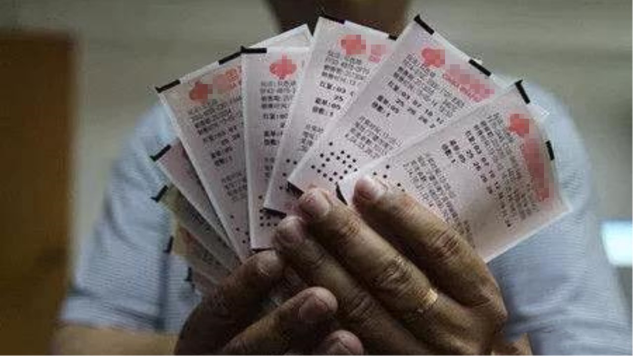 今晚开奖结果，揭秘彩票背后的故事与期待