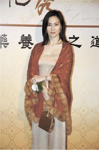 澳门六号码头，通往香港的渡轮服务现状与展望