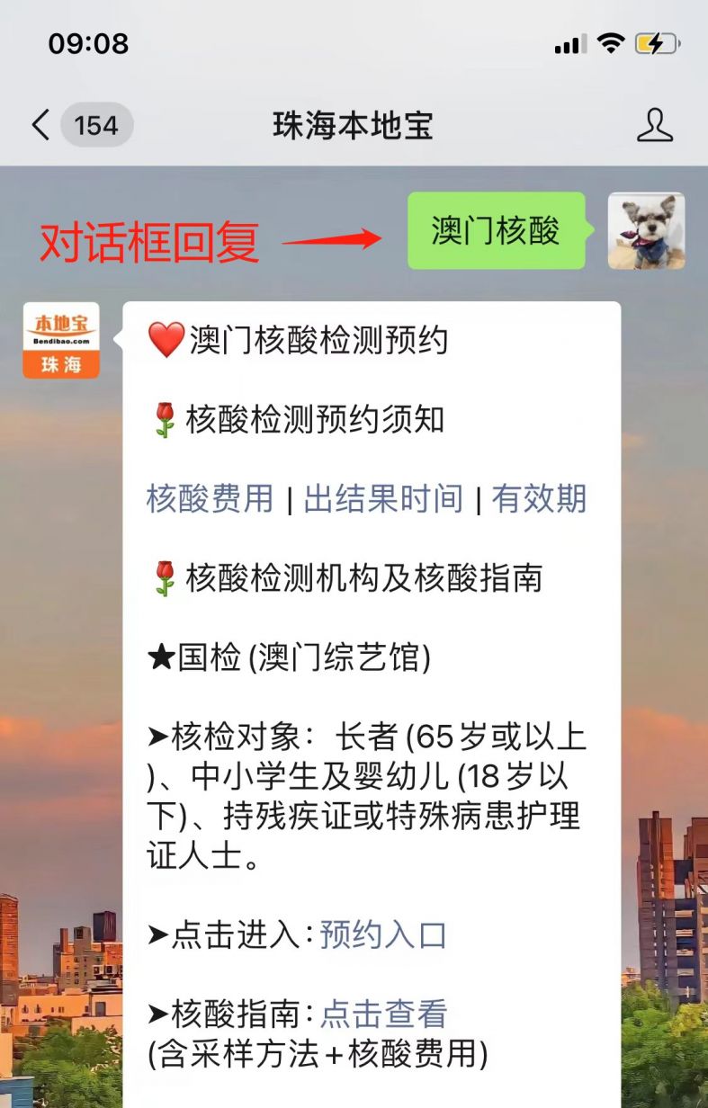 澳门六号码头预约官网查询指南，轻松规划您的精彩之旅