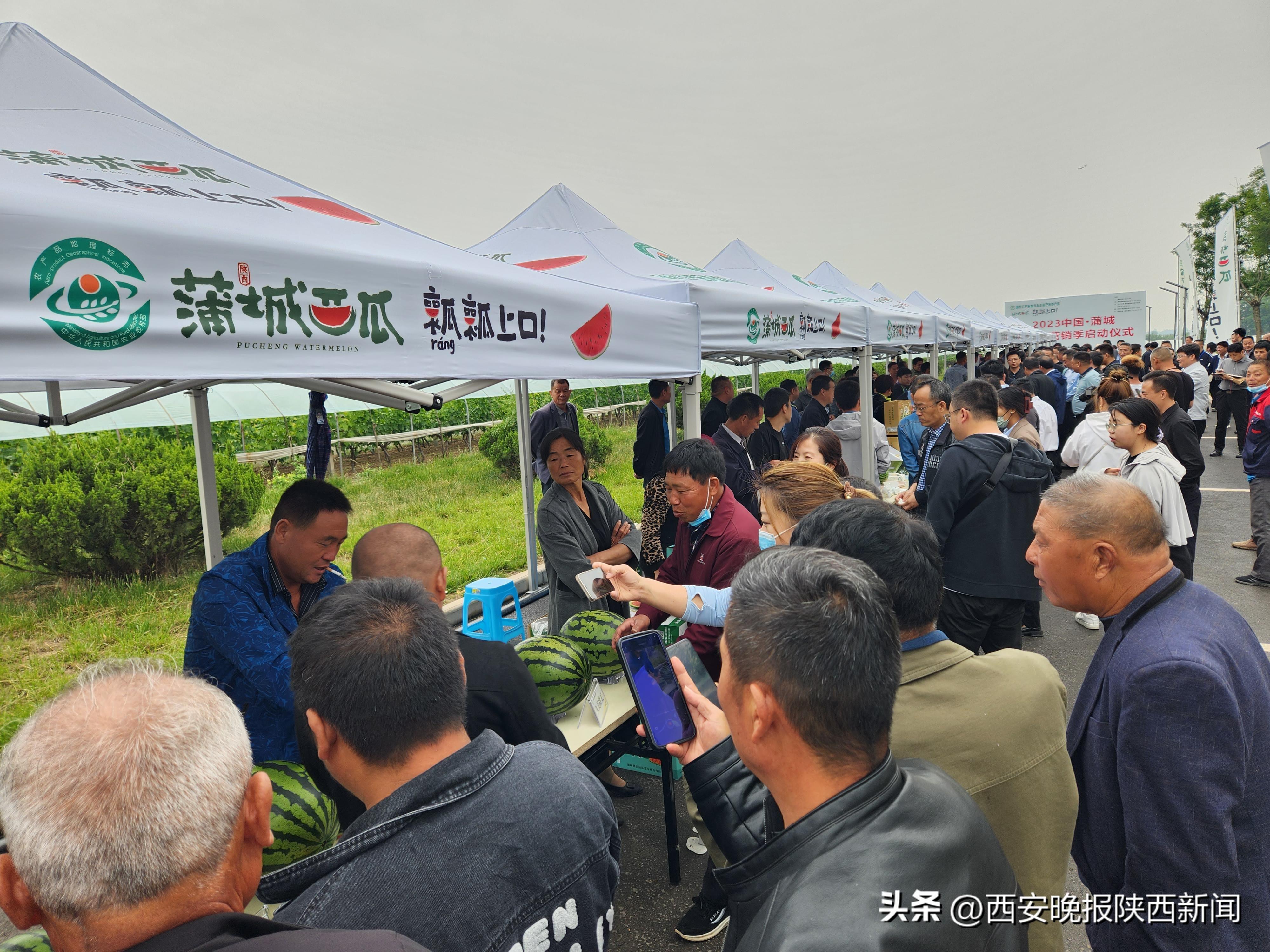 澳门六盒宝典2023年版猜谜语最新